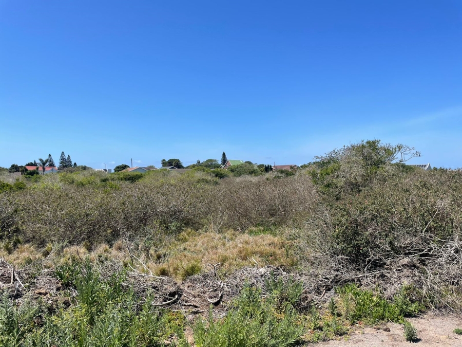 0 Bedroom Property for Sale in Forest Downs Eastern Cape